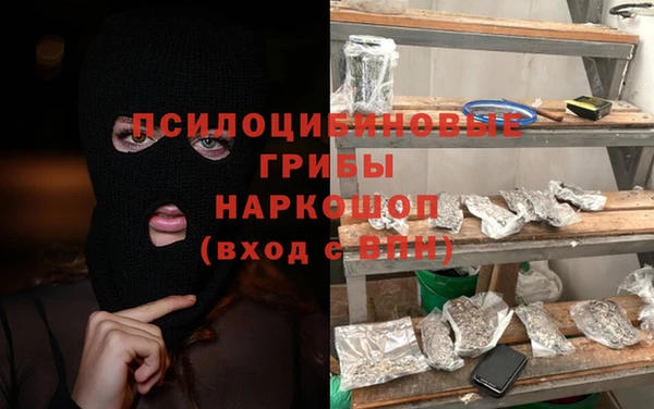 стаф Балахна